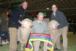 Greenfields Merino Stud's National Merino Pairs with, from left, Robert, Jim and James Sullivan.