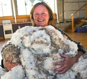 Tasmanian wool grower Nan Bray