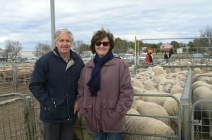 Menindee producers Glen and Nyoli Bell of Bono Station NSW sold 602 lambs for up to $125 at Ouyen on Thursday.