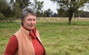 NSW Department of Primary Industries (DPI) sheep researcher Dr Sue Mortimer