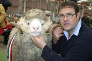 Wurrook Merino stud's Paul Walton with his grand champion Merino ram and supreme Merino exhibit