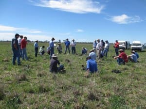 Farmers talk pastures during a paddock walk.