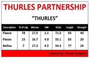 Thurles clip details