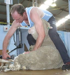 NSW shearer Daniel McIntyre