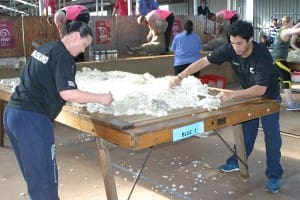 Victorious NZ wool handlers Sheree Alabaster and Joel Henare in Hamilton