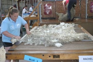 NSW's Racheal Hutchison hussles to win the national wool handling title