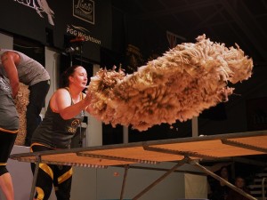 Champion wool handler Sarah Moran. Picture: Shearing Sports NZ