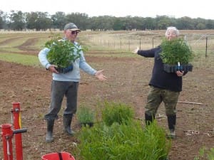 Peter and Maree Valusiak get ready for planting.