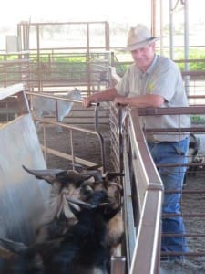 Goat Industry Council of Australia president Rick Gates