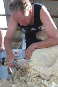 NZ blade shearer Tony Dobbs