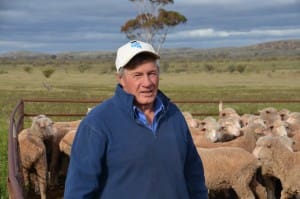 SA rangeland wool producer and Livestock SA president Geoff Power