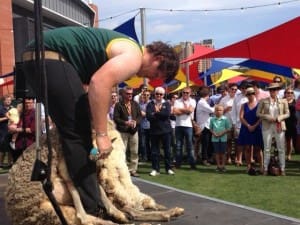 SA shearer John Dalla in action at the Adelaide Oval test.