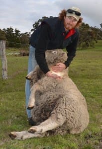 Reedy Creek prime lamb producer Josh Hancock.