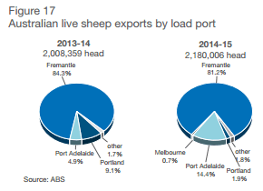 SheepLiveExports Port Nov5-15