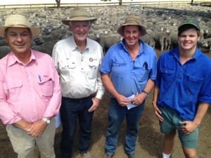 Elders Ballarat manager Graeme Nicholson, left, with Salt Creek principal Peter Coy, buyers John and Lachie Watt.