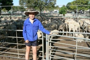 Ouyen lamb seller William Nihill watched his grandparents Graeme and Wendy Mengler sell 28 White Suffolk lambs for $127 on Thursday.
