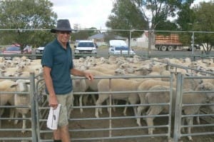 Copeville's Mike Wyndham sold 60 SAMM-White Suffolk lambs for $114.20 at Ouyen this week.