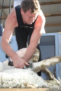 NZ shearer Tony Coster