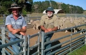 Ruffy Merino and Hereford breeders Tim and Rob Hayes have won the 2016 Victorian Flock of the Year Award.