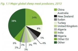 China sheepmeat 3