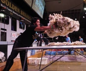 World wool handling champion Joel Henare. Picture: Shearing Sports NZ.