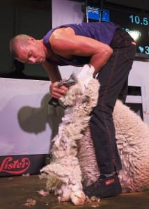 World shearing champion Rowland Smith. Picture: Shearing Sports NZ.