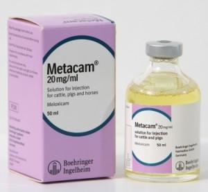 Metacam injectable May25-16