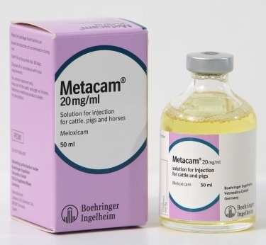 metacam vet