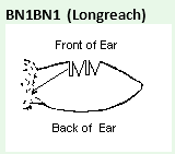 The ear mark of the missing Queensland sheep,