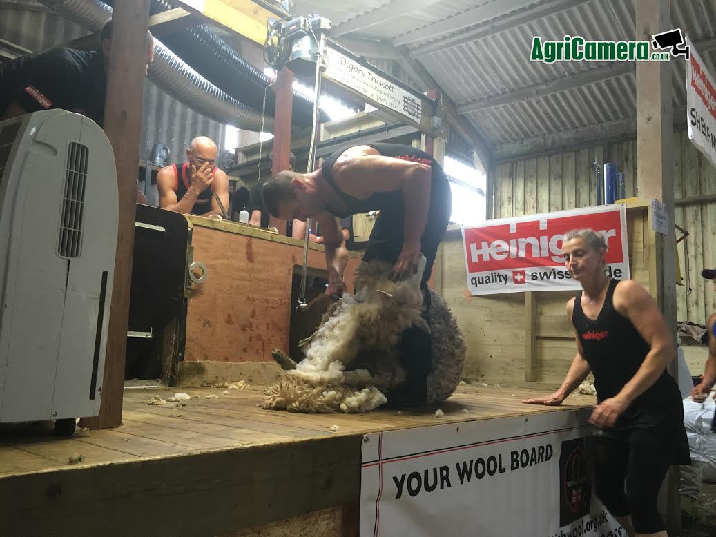 New Zealand shearer Matt Smith smashes world shearing record in UK