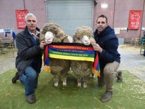 Navanvale Mrino stud co-principals Chris Hogg and his son Mitchell with their winning National Pair.