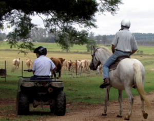 Quad bike rebates coming to Victoria