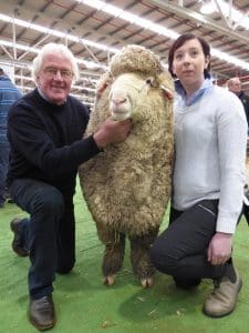 The Rock-Bank Merino Stud showed the champion Victorian-bred Merino ram at the Bendigo show - held here by John and Nicole Crawford.