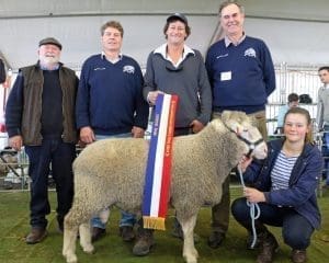  The senior, grand and supreme champion Dohne ram is held by Grace Nadin, Macquarie Dohne stud, Warren, NSW. She is pictured with vendor Greg McCann, Dubbo, NSW, judge Andrew Buffer, Lockhart, NSW, vendor John Nadin, Warren, and judge Barry Lang, Oberon, NSW. 