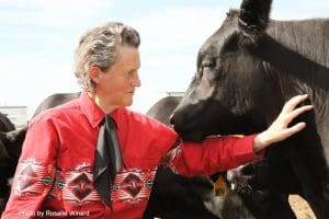 Animal handling expert Temple Grandin
