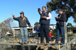 The BR&C Ouyen team selling Murray Pohlner's lambs for $200 this week.