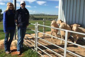 American sheep producers Brad and Jen Osguthorpe at the Gooramma Poll Dorset stud at Galong, NSW.
