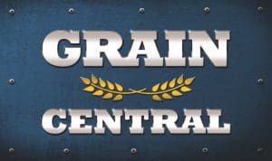 Grain Central Logo stacked - Silver - Copy