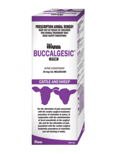 Ilium Buccalgesic is now approved for sheep use.