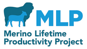 Merino Lifetime Productivity MLP trial logo Aug 2016