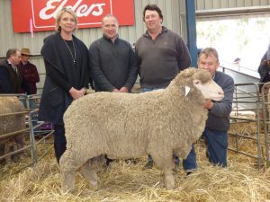 The $30,000 Moorundie Poll ram, held by Geoff Davidson, with from left, Bernadette Davidson, and buyers Will Lynch, Boorana stud, and Peter Wallis, Glenlea Park stud.