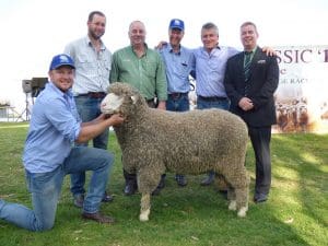 Classings Classic top $16,000 ram, holding Brad Schroeder, from left, buyer Stuart Croft, Landmark's Kevin Beaton, Ray Schroeder, sale convenor Bill Walker, Landmark auctioneer Gordon Wood.