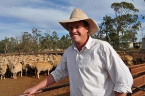 Merino genetics consultant Craig Wilson.