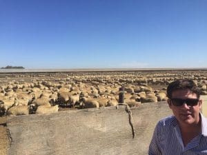 Nuffield scholar Michael Craig at one of America's biggest feedlots at Dixon in California.