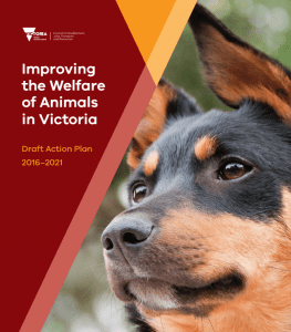 Vic Animal Welfare Action Plan cover image Sept 12-16