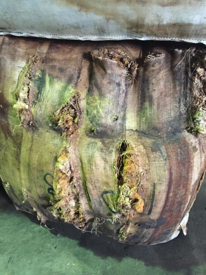 Wet wool prompts calls to dry fleece on farm and get the tarps out