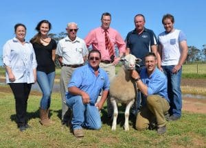 Joel Donnan, right, holds the $68,000 White Suffolk ram, with father Andrew, with from left, in the rear, Denita, Lauren and John Donnan, Elders stud stock auctioneer Ross Milne, and purchasers Geoff  and Leroy Hull, Kattata Well stud, Pt Kenny, SA.