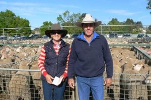 Angela and Craig Gadsden from Euston, Ouyen saleyards Oct 7-16