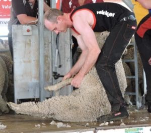 Daniel McIntyre at the Warialda nationals. Picture - Marc Truman.