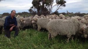 Kangaroo Island wool grower David Rowsell.